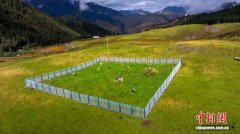 甘肃生态监测网络实现“全